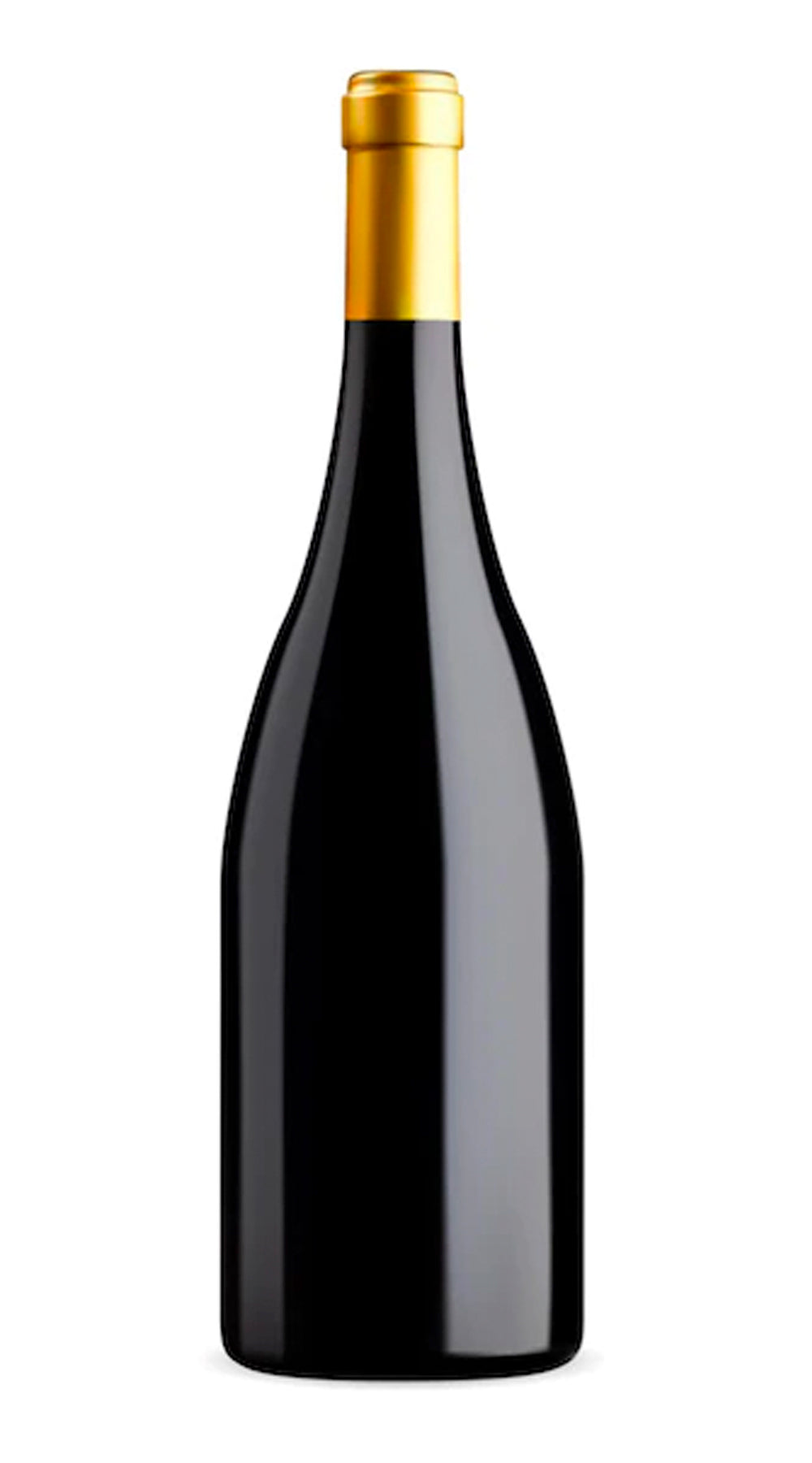 Ancien Sonoma Mtn Pinot Noir Red Dog Vineyard 2007